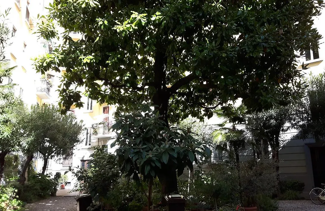 Bronzino House-1